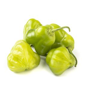 Green cambuci peppers isolated over white background. Typical br